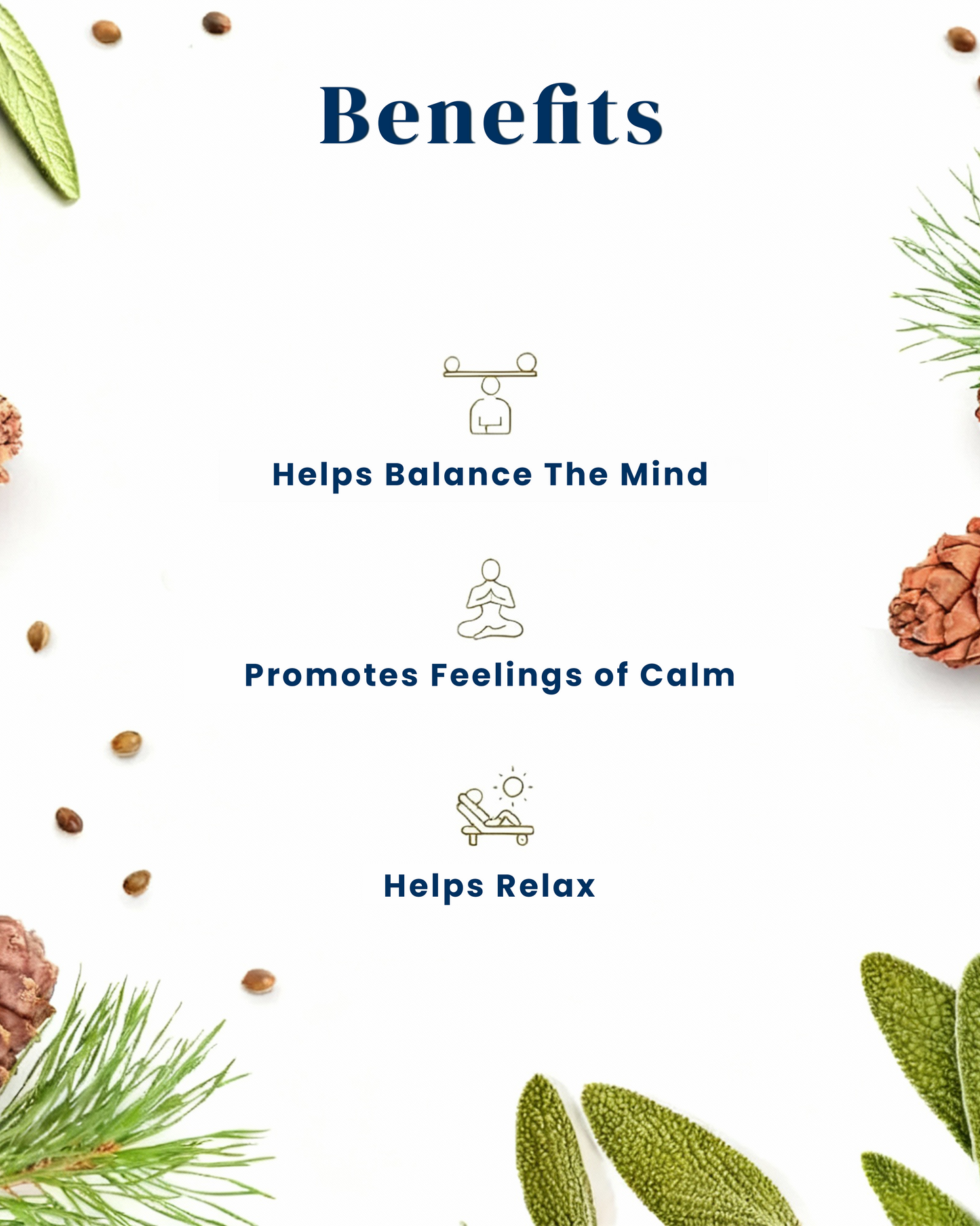 Premium Luxe Reed Diffuser – 100ml